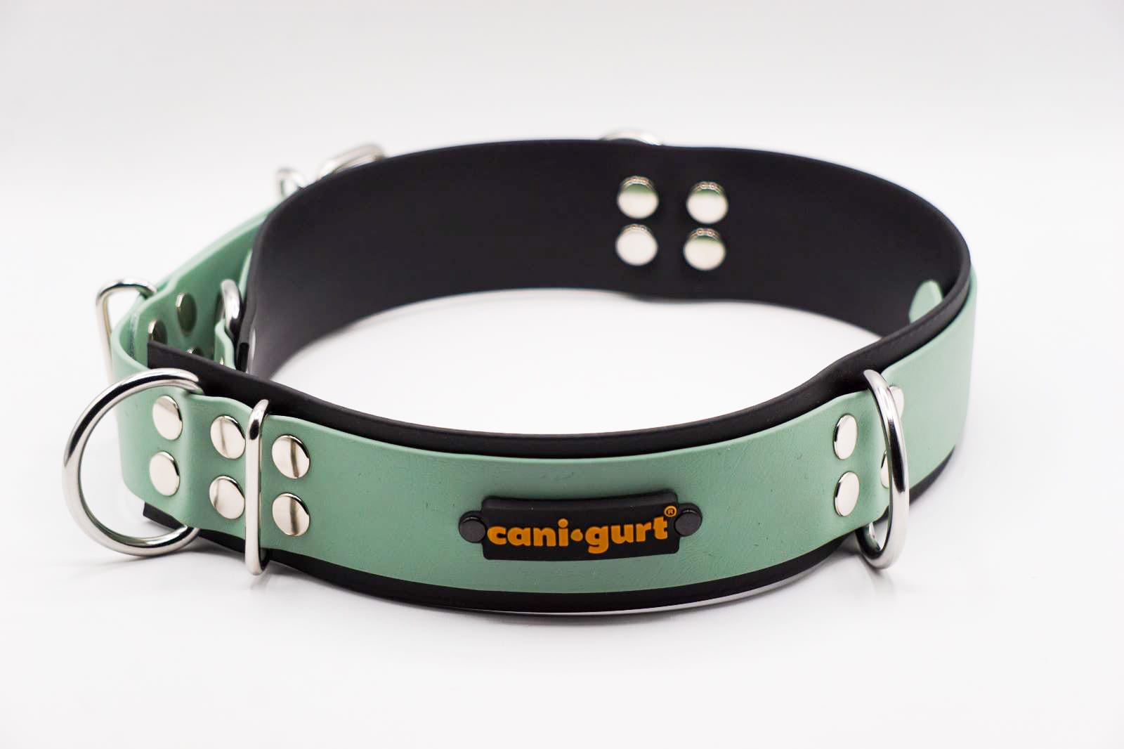 CANI•GURT® - Der Biothane® Gürtel für Dogwalker