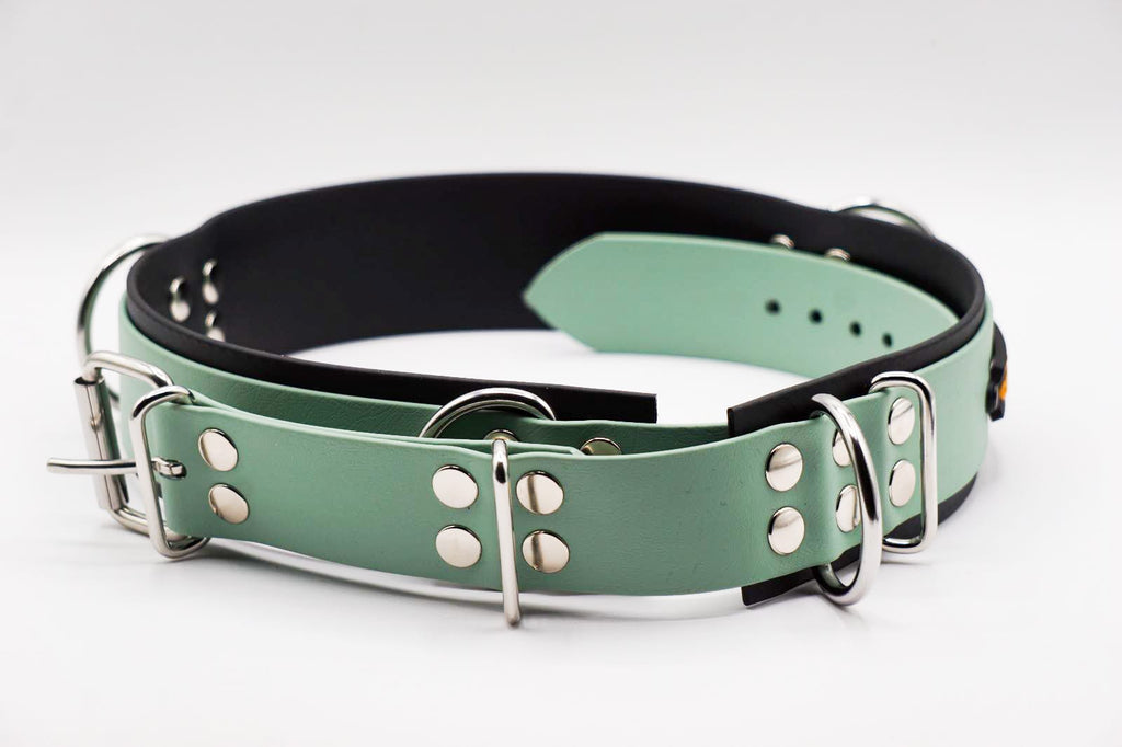 CANI•GURT® - Der Biothane® Gürtel für Dogwalker