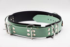 CANI•GURT® - Der Biothane® Gürtel für Dogwalker