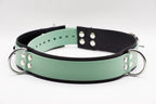CANI•GURT® - Der Biothane® Gürtel für Dogwalker