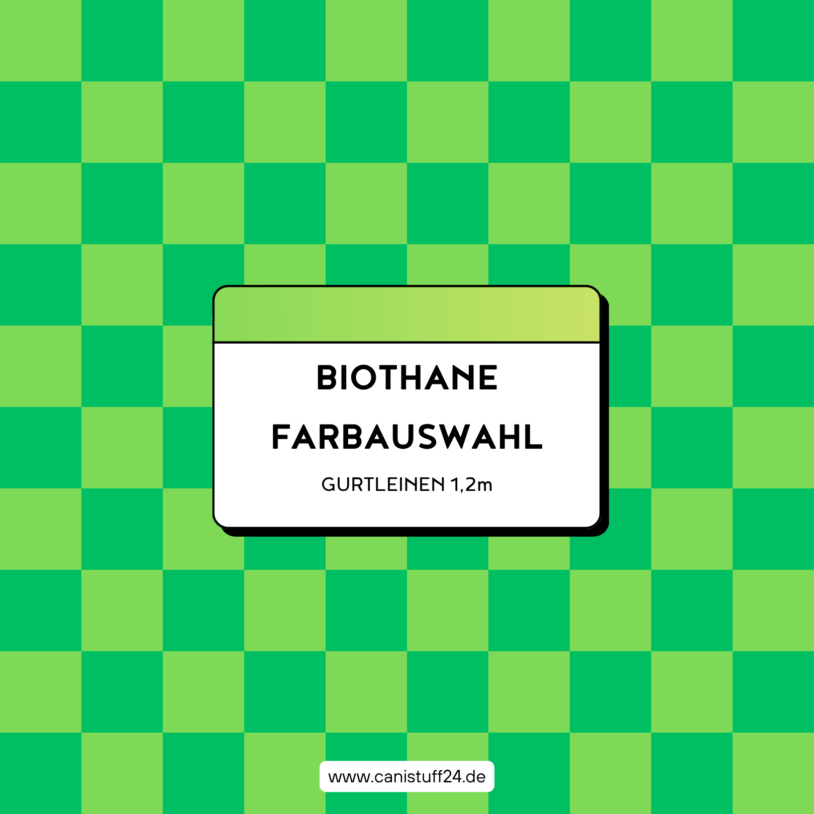 BIOTHANE FARBEN - Gurtleinen 1.2m