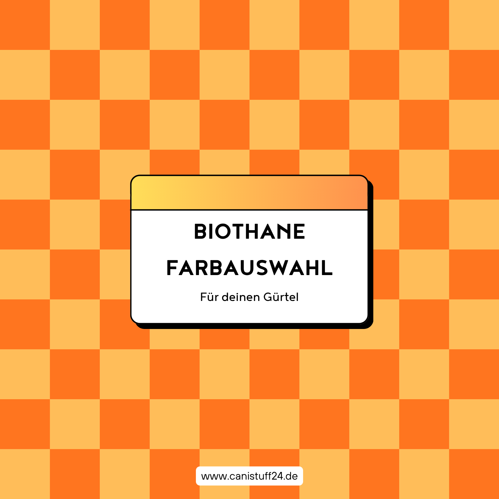 BIOTHANE FARBEN - Gürtel