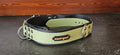 CANI•GURT® - Der Biothane® Gürtel für Dogwalker