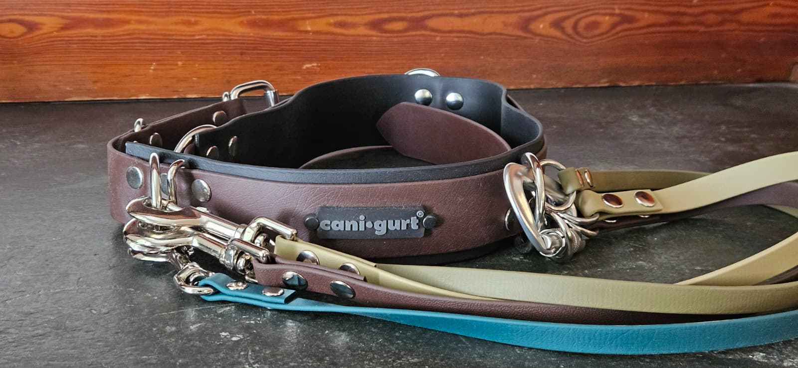 CANI•GURT® - Der Biothane® Gürtel für Dogwalker SET