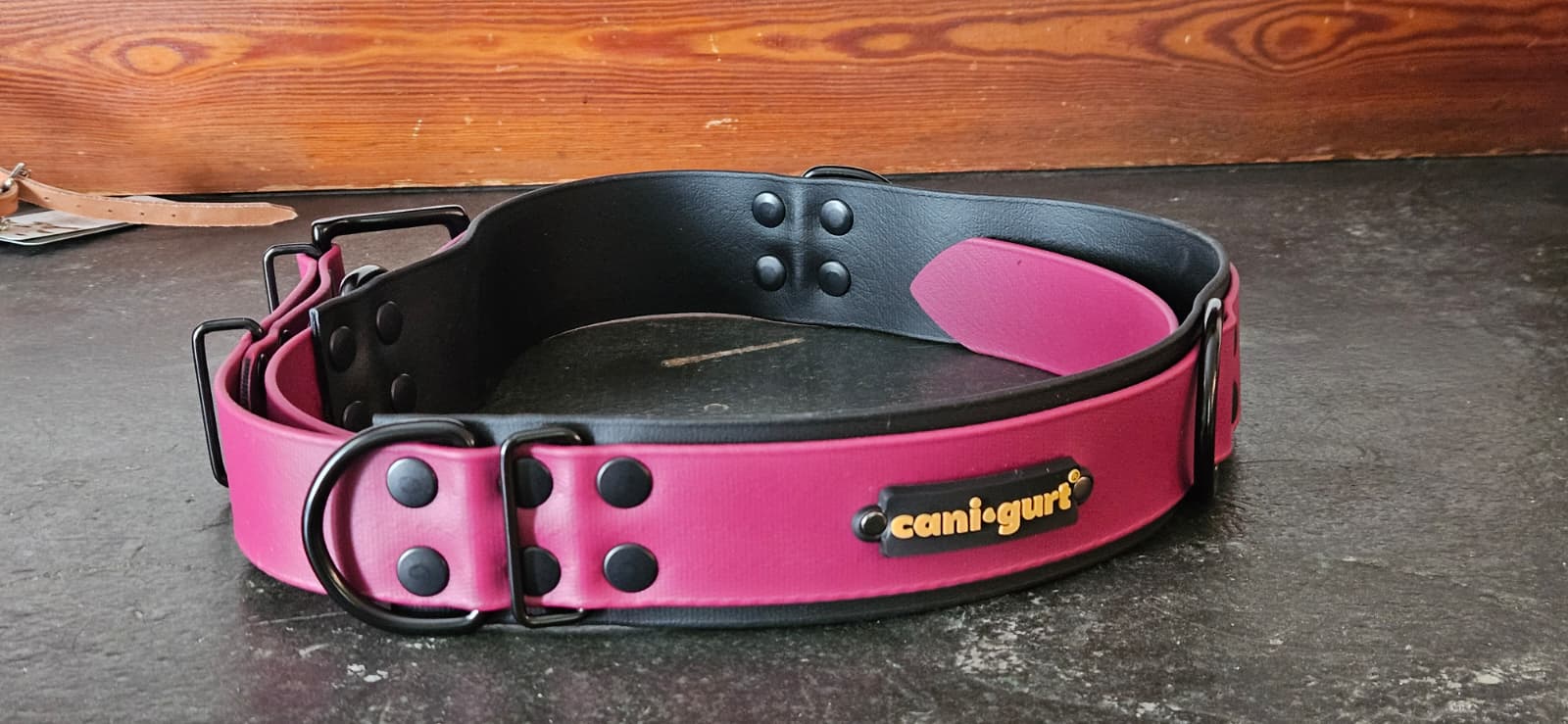 CANI•GURT® - Der Biothane® Gürtel für Dogwalker