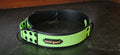 CANI•GURT® - Der Biothane® Gürtel für Dogwalker