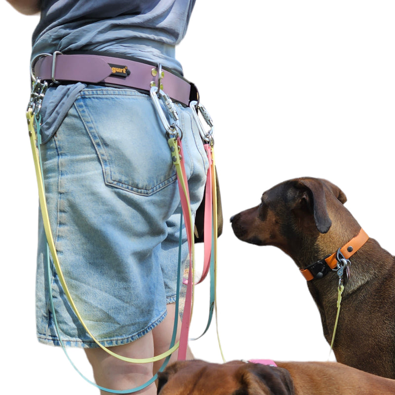 CANI•GURT® - Der Biothane® Gürtel für Dogwalker