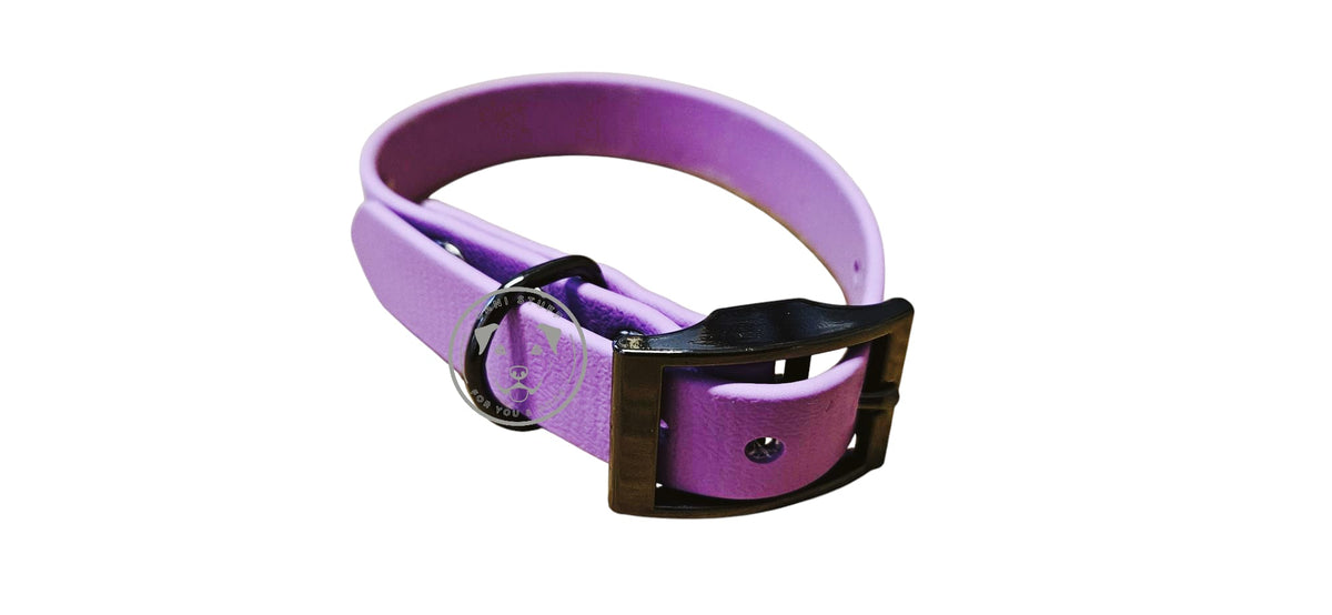 Biothane Halsband "Tuja" verstellbar