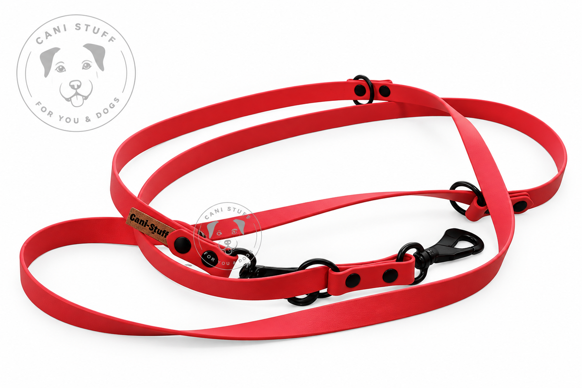 Urban Leash "Elfriede" 3-fach verstellbar mit Surfhaken
